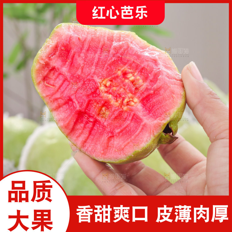 红心芭乐