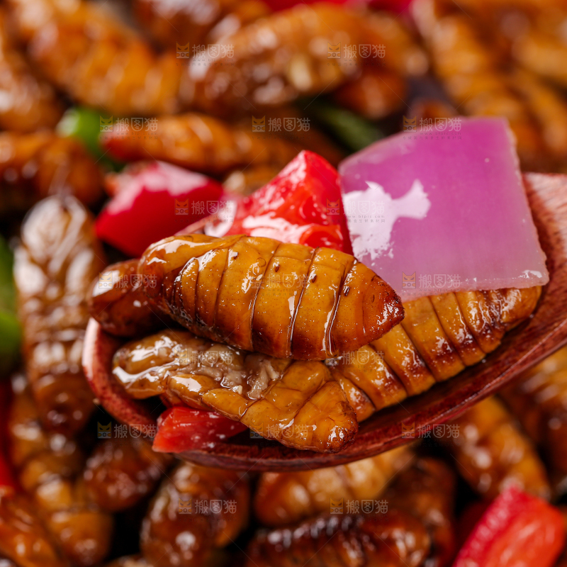 金丝蚕蛹
