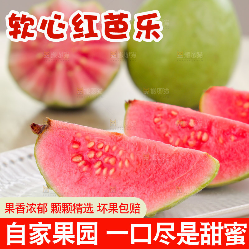 红心芭乐