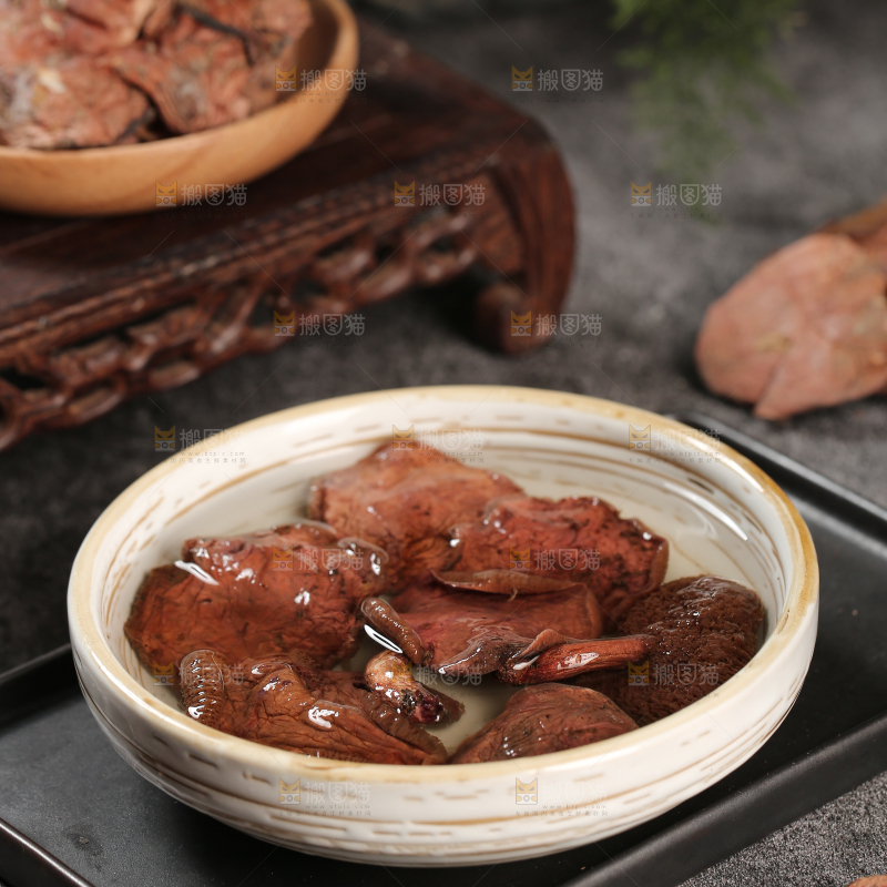 牛肝菌