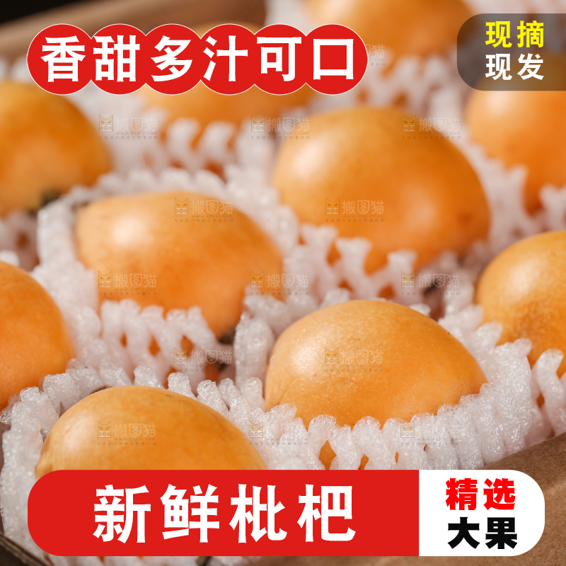 蒙自枇杷