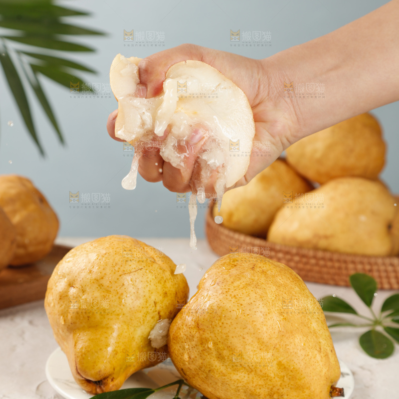 浅底上的丑梨