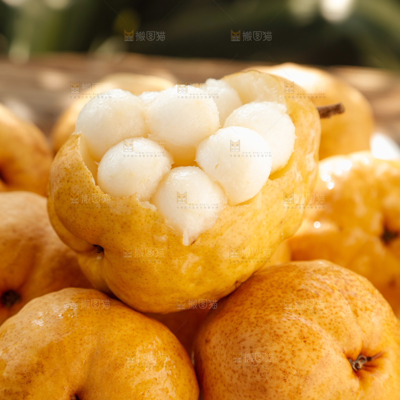 手里拿的丑梨