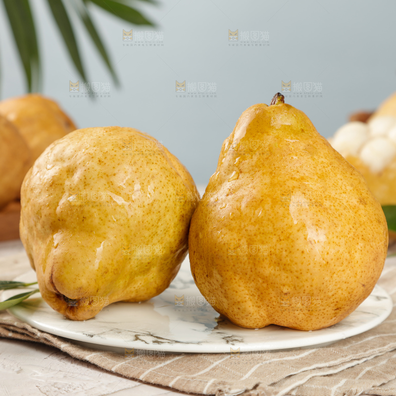 浅底上的丑梨