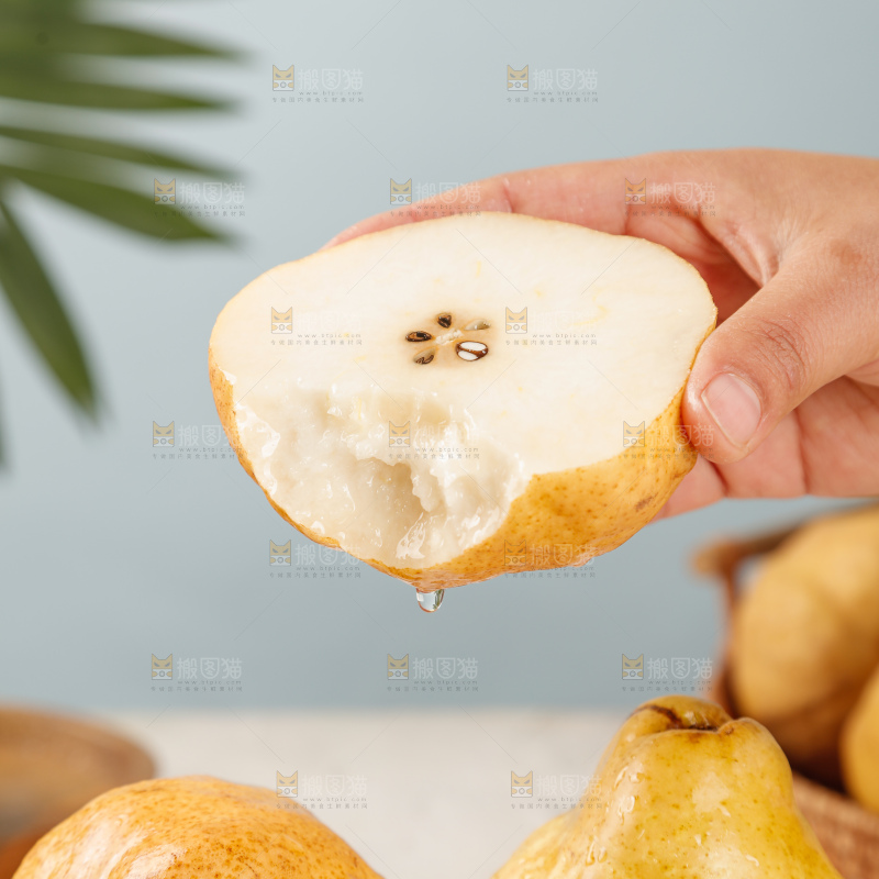 手里拿的丑梨