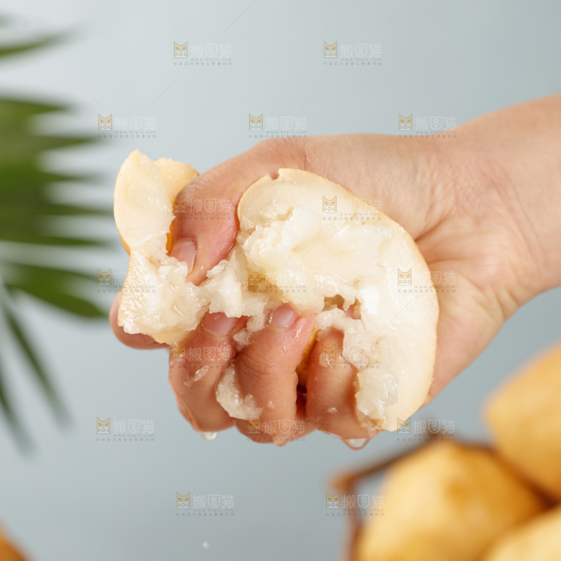 浅底上的丑梨