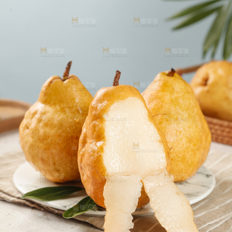 浅底上的丑梨