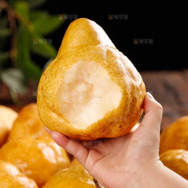 深底上的丑梨