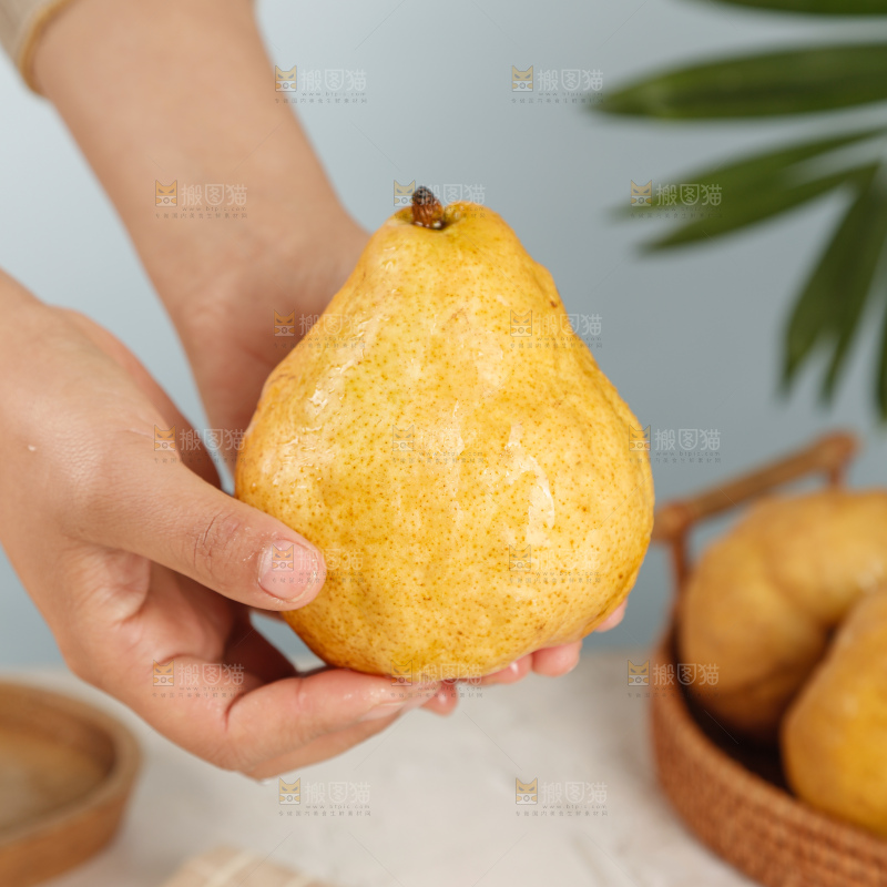 手里拿的丑梨