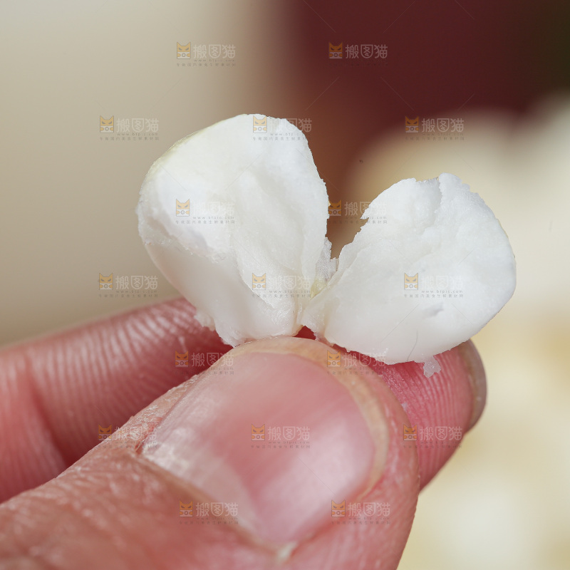 胚芽玉米