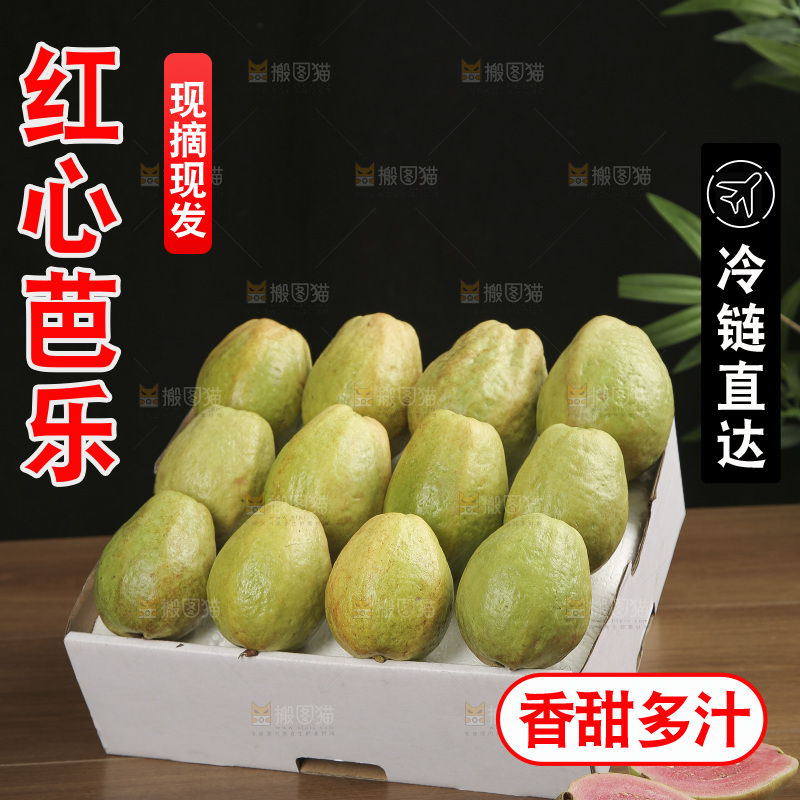红心芭乐