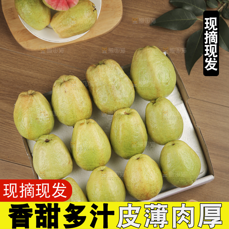 红心芭乐