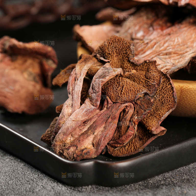 牛肝菌
