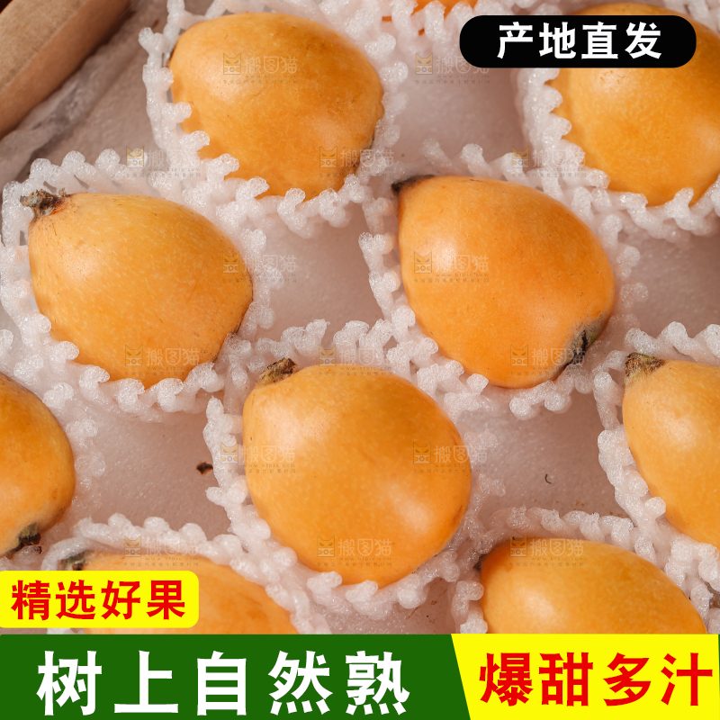 蒙自枇杷
