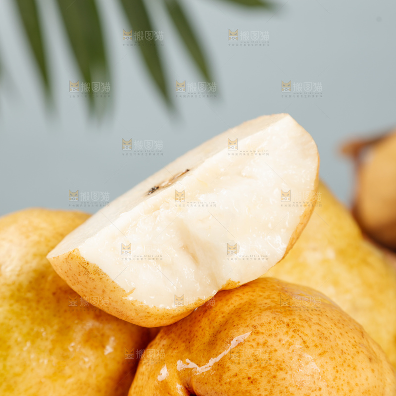 浅底上的丑梨