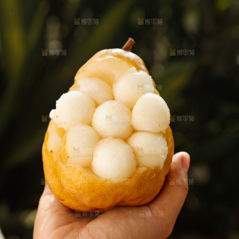 手里拿的丑梨