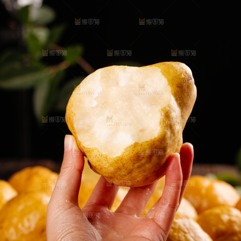 深底上的丑梨