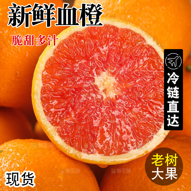 血橙