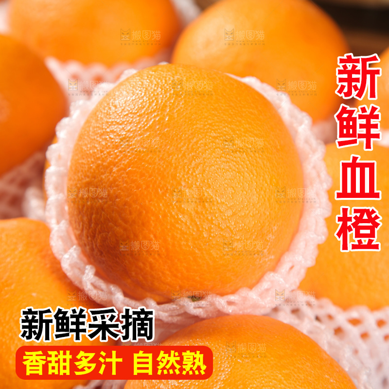 血橙