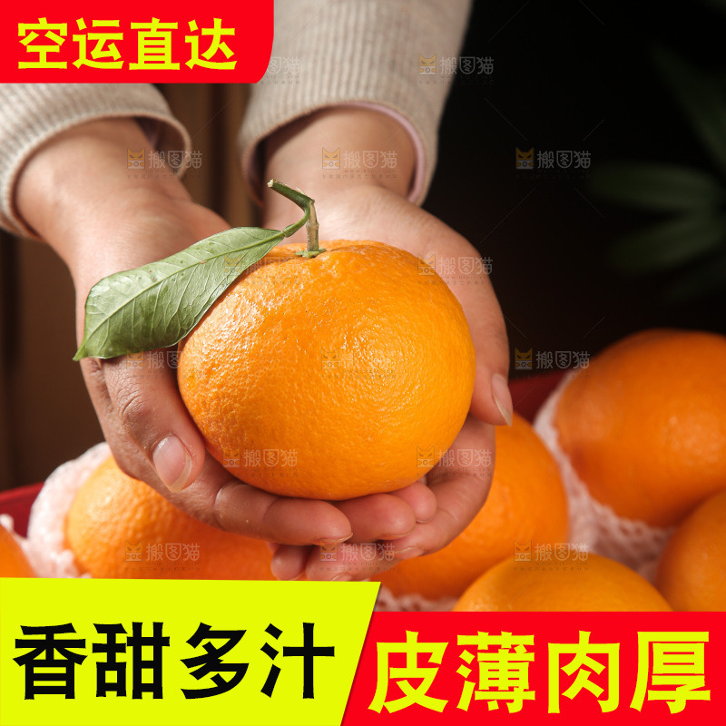 血橙