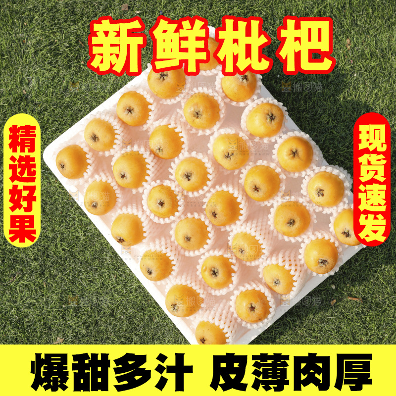 枇杷