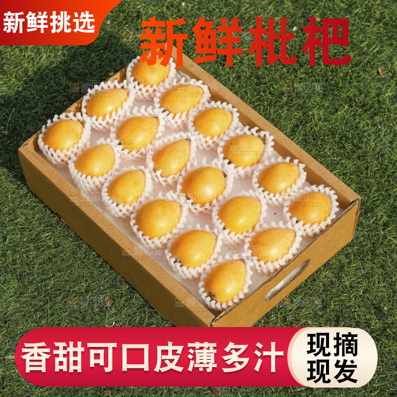 枇杷