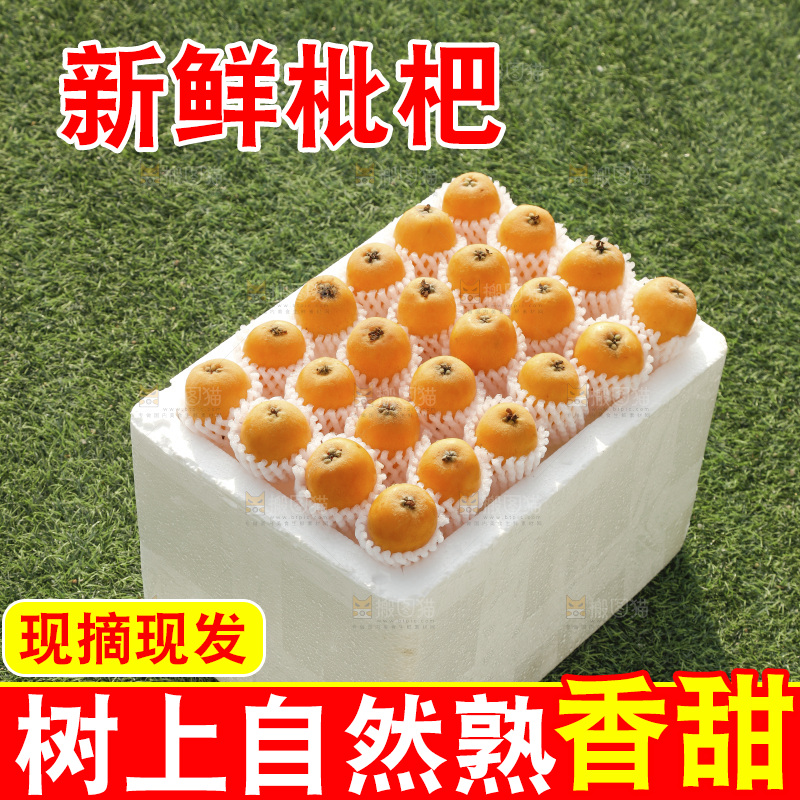 枇杷