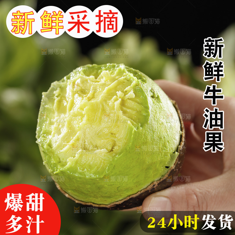 牛油果