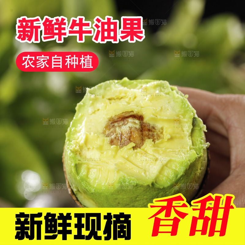 牛油果