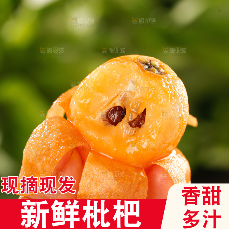 枇杷