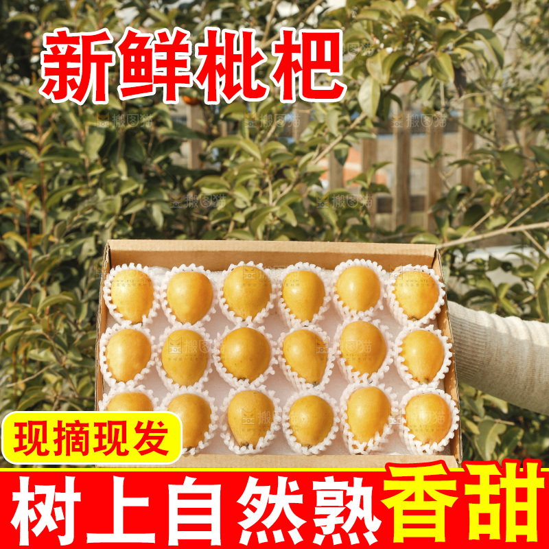 枇杷