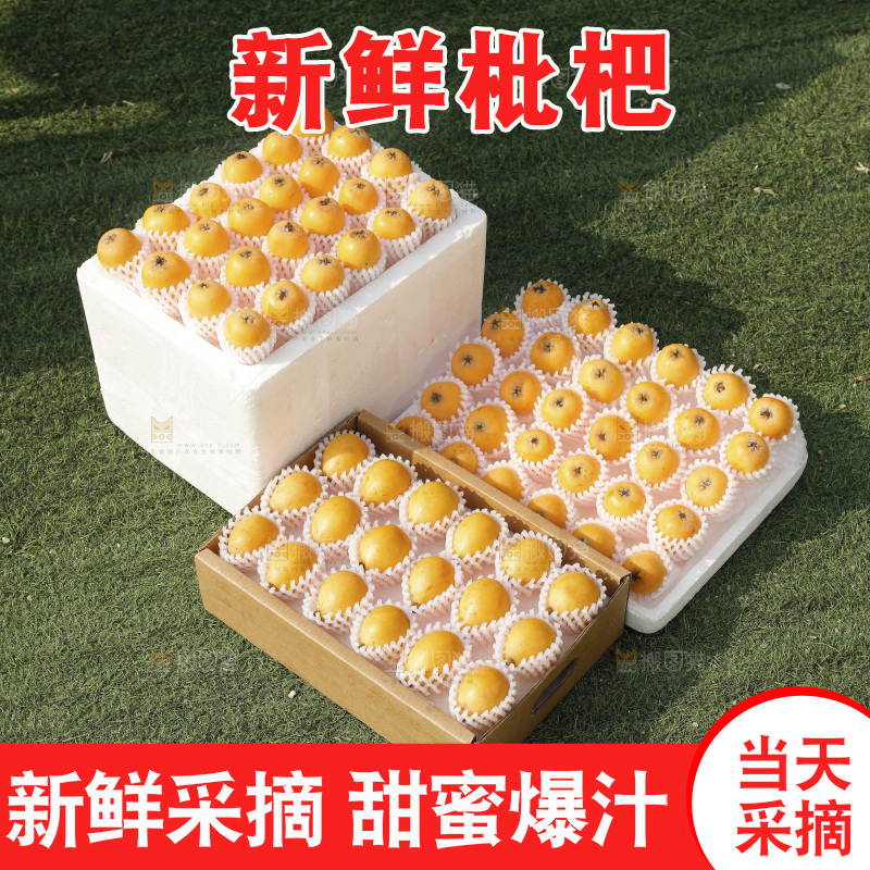 枇杷