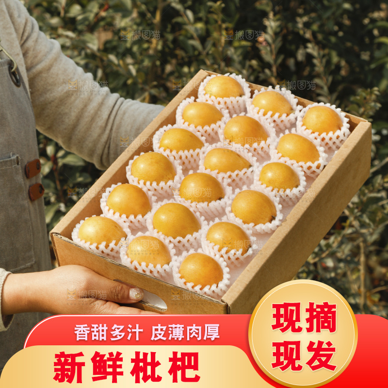 枇杷