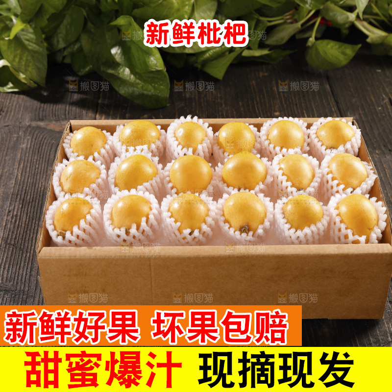枇杷