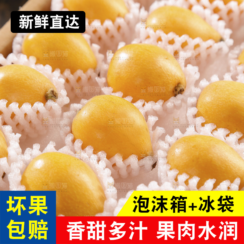 枇杷