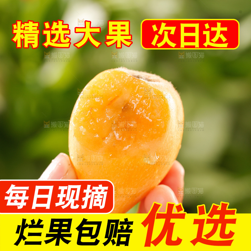 枇杷