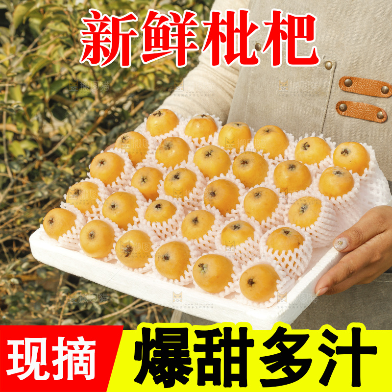 枇杷
