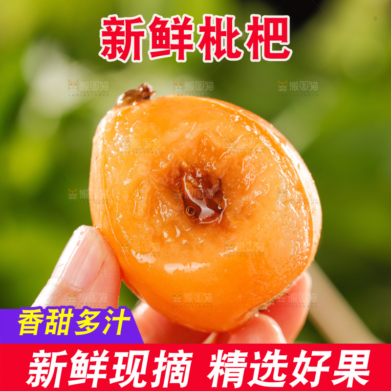 枇杷