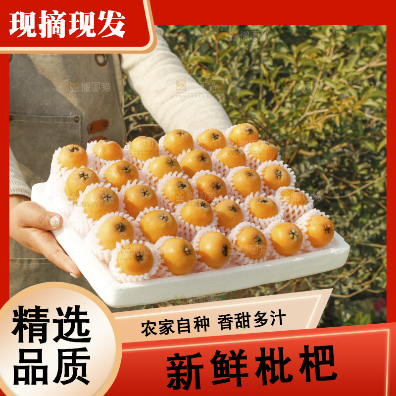 枇杷
