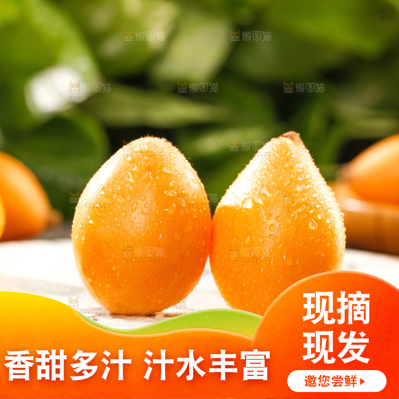 枇杷