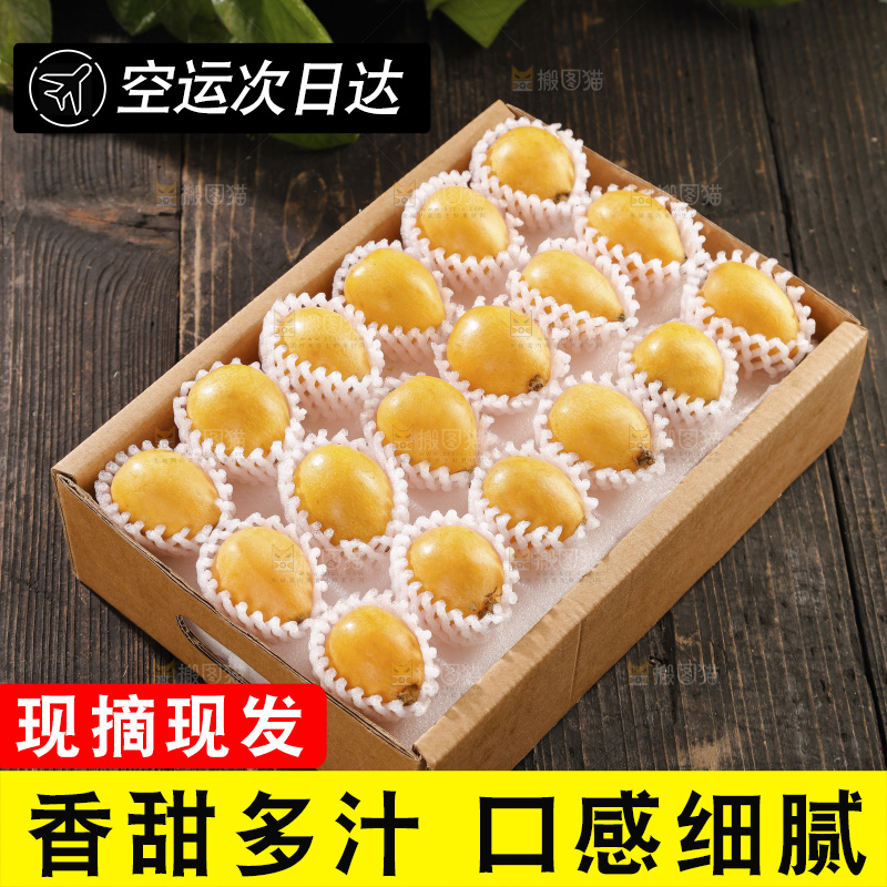 枇杷