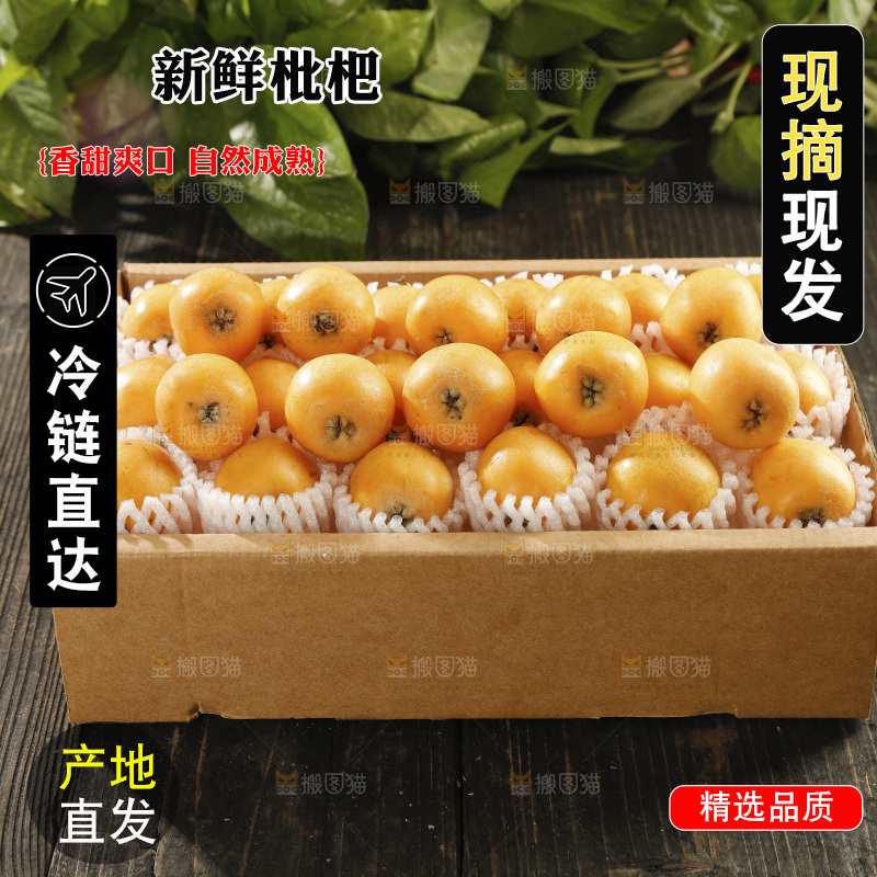 枇杷