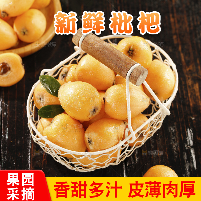 枇杷