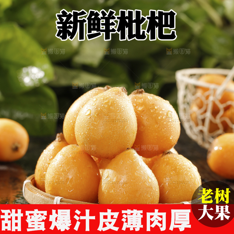 枇杷