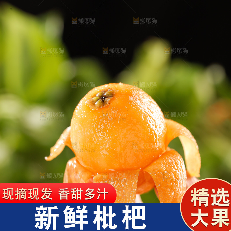 枇杷