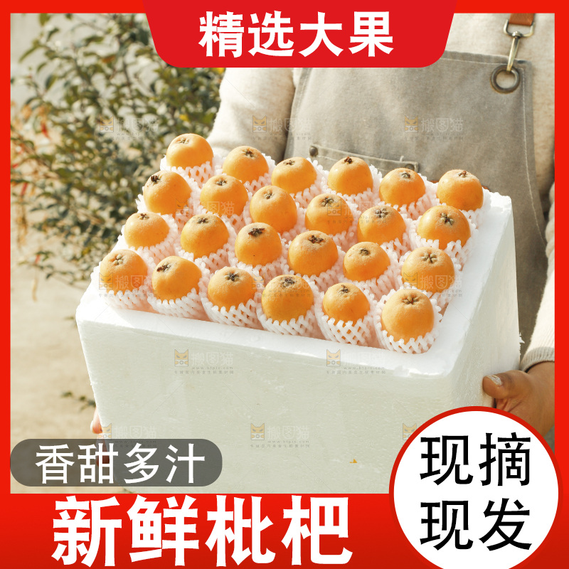 枇杷