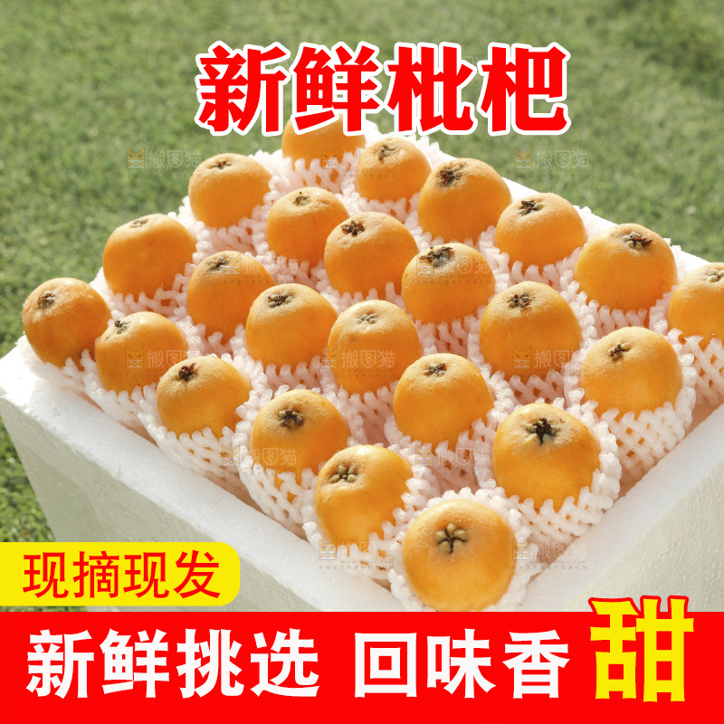 枇杷