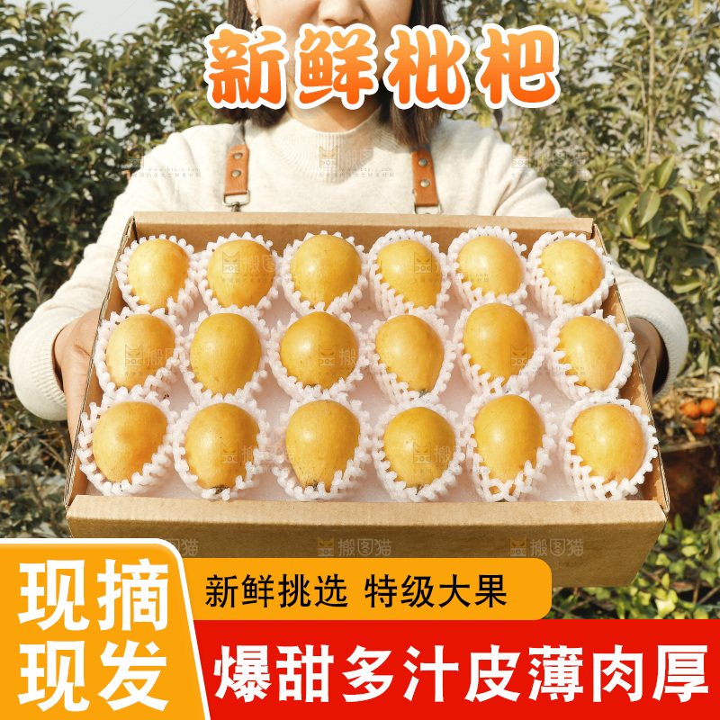 枇杷