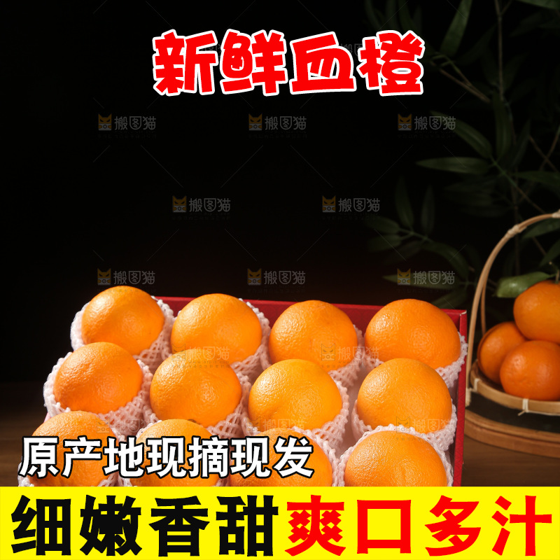 血橙