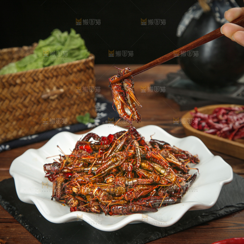 油炸蚂蚱